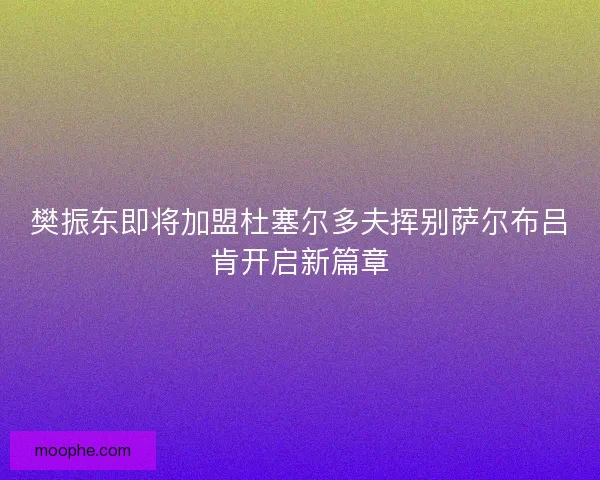 樊振东即将加盟杜塞尔多夫挥别萨尔布吕肯开启新篇章