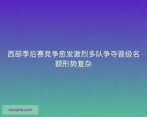 西部季后赛竞争愈发激烈多队争夺晋级名额形势复杂